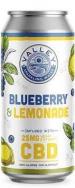 Connecticut Valley Brewing - Blueberry Lemon CBD 0 (415)